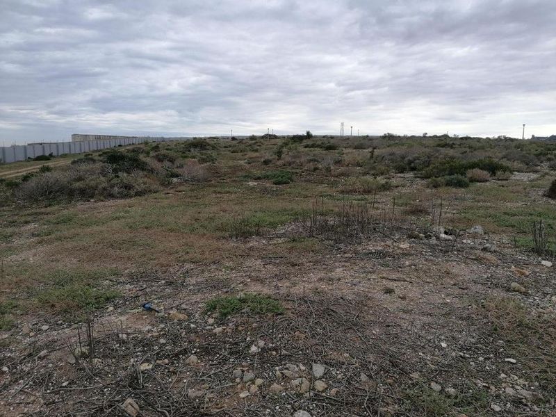 Vacant Land For Sale In Saldanha - Photo 10