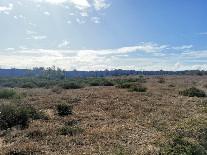 A view of a vacant residential plot featuring natural vegetation and a perimeter wall with electric fencing.