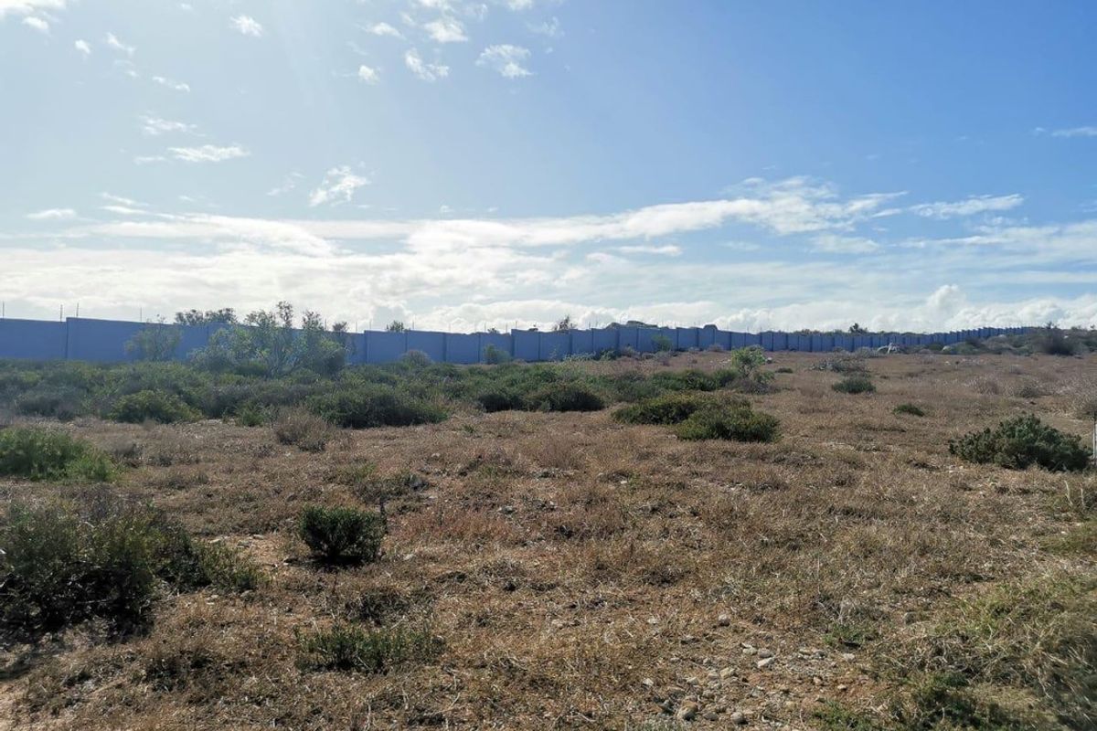 A view of a vacant residential plot featuring natural vegetation and a perimeter wall with electric fencing.