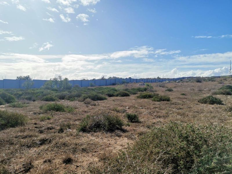 A vacant residential plot featuring natural scrub vegetation and a long perimeter boundary wall under a clear blue sky.