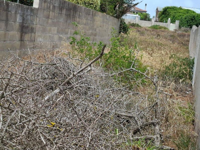 Vacant Land For Sale In Langebaan - Photo 2