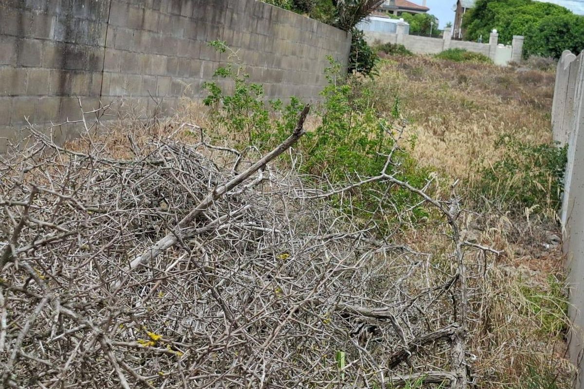 Vacant Land For Sale In Langebaan - Photo 2