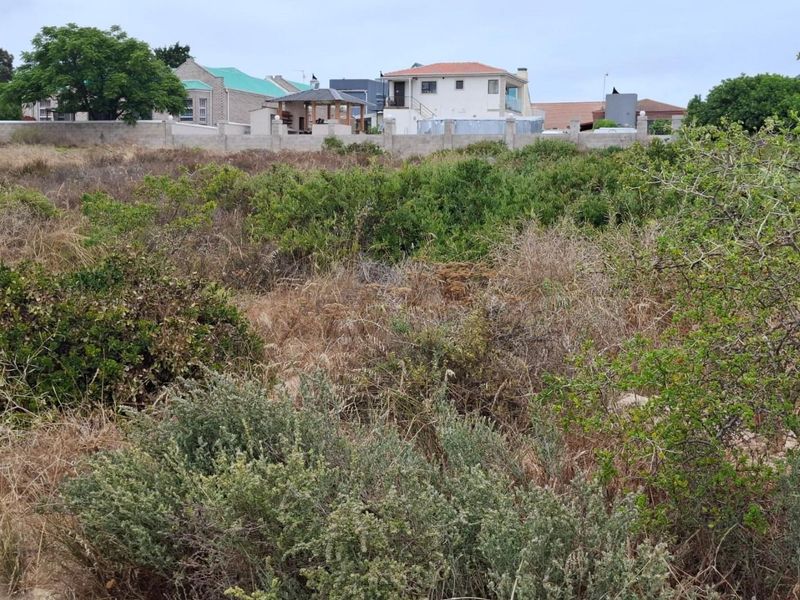 Vacant Land For Sale In Langebaan - Photo 3