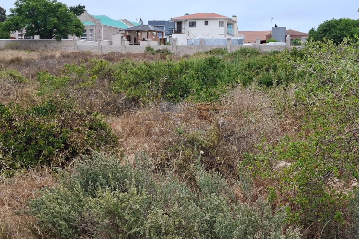Vacant Land For Sale In Langebaan - Photo 3