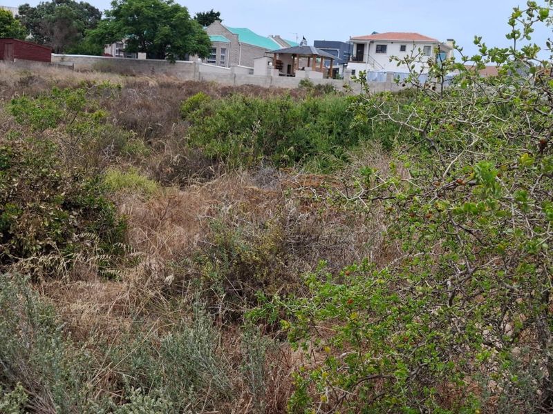 Vacant Land For Sale In Langebaan - Photo 8