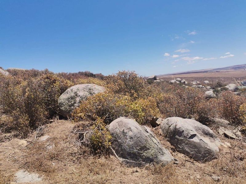 Vacant Land For Sale In Saldanha - Photo 6