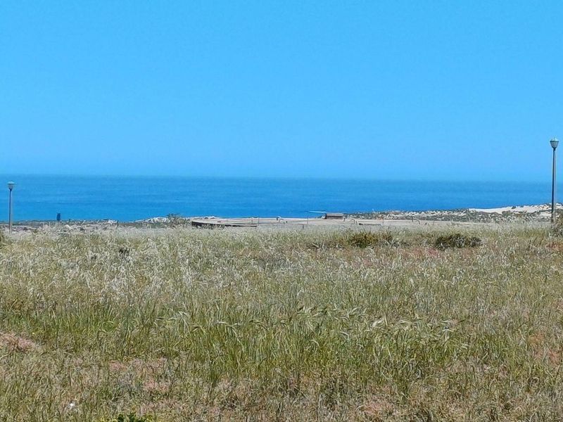 Vacant Land For Sale In Saldanha - Photo 7