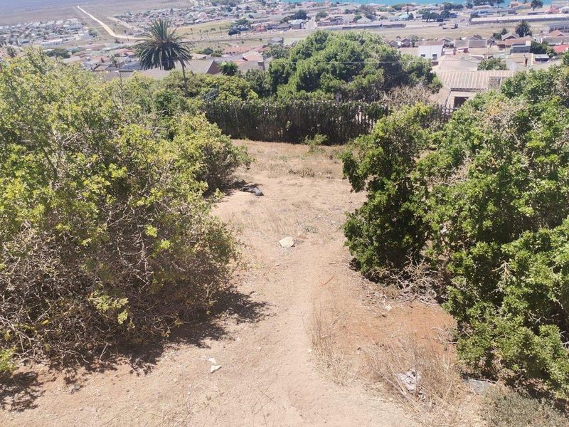 Vacant Land For Sale In Saldanha - Photo 4