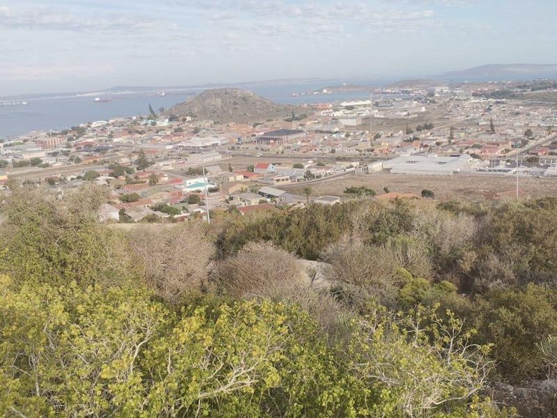 Vacant Land For Sale In Saldanha - Photo 4
