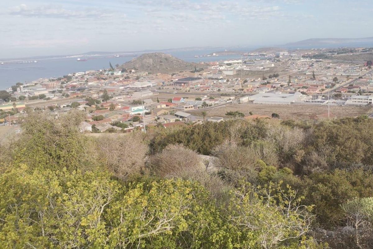 Vacant Land For Sale In Saldanha - Photo 4