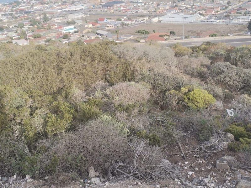 Vacant Land For Sale In Saldanha - Photo 9