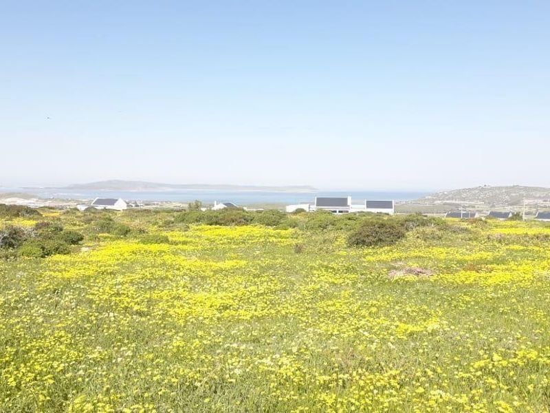 Vacant Land For Sale In Saldanha - Photo 4