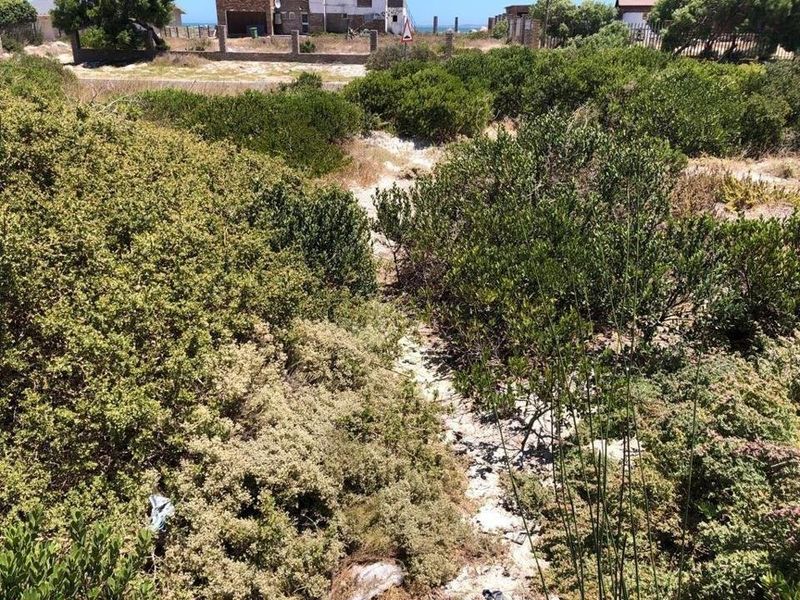 A view of a vacant residential plot covered in coastal vegetation, situated in a coastal neighborhood.