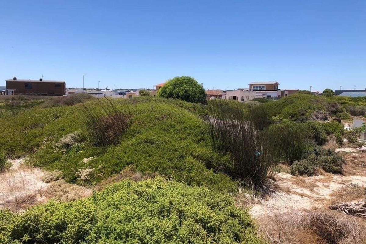 A view of a vacant residential plot featuring natural coastal vegetation and surrounding neighborhood housing.
