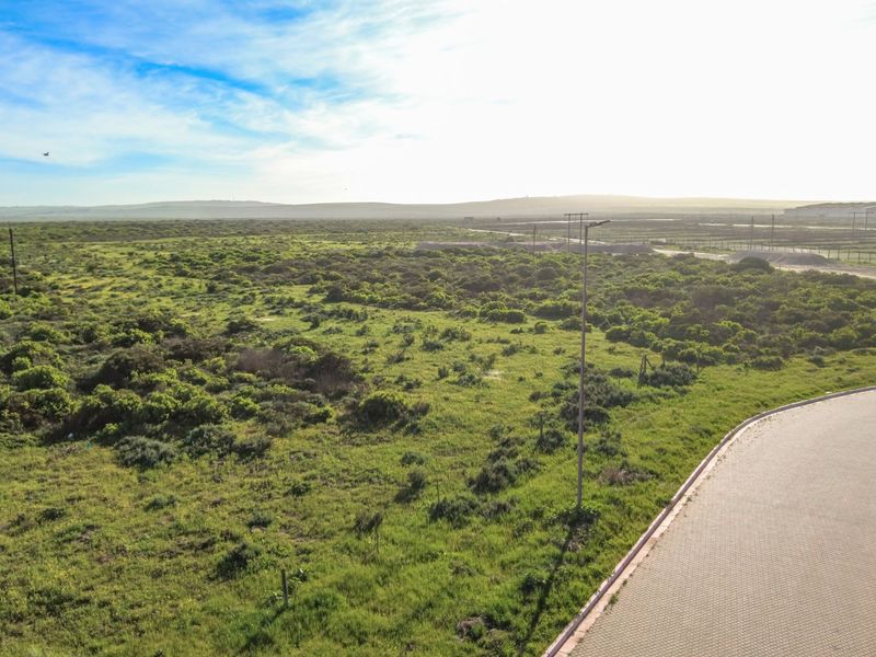 Aerial view of the industrial property site featuring expansive open land, natural vegetation, and adjacent paved road access.