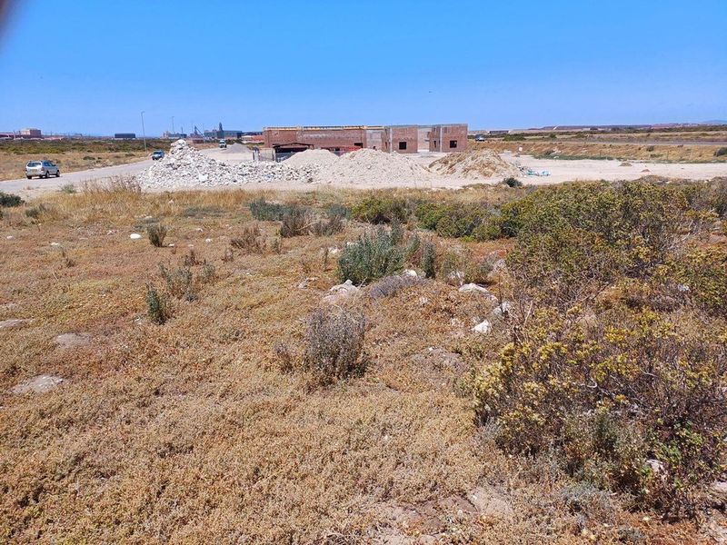 Vacant Land For Sale In Saldanha - Photo 10