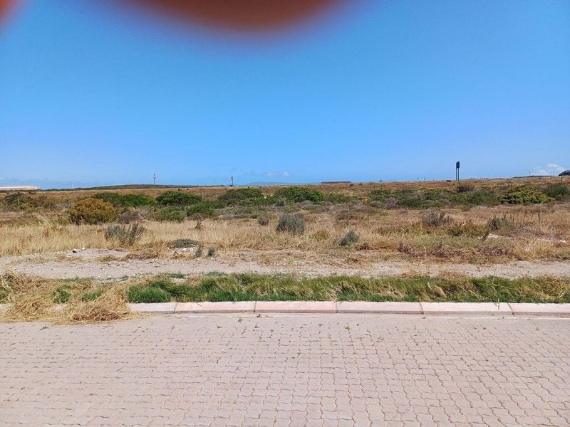 Vacant Land For Sale In Saldanha - Photo 8