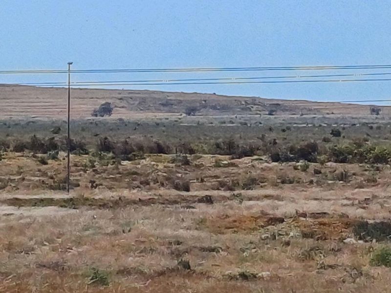 Industrial For Sale In Saldanha - Photo 3
