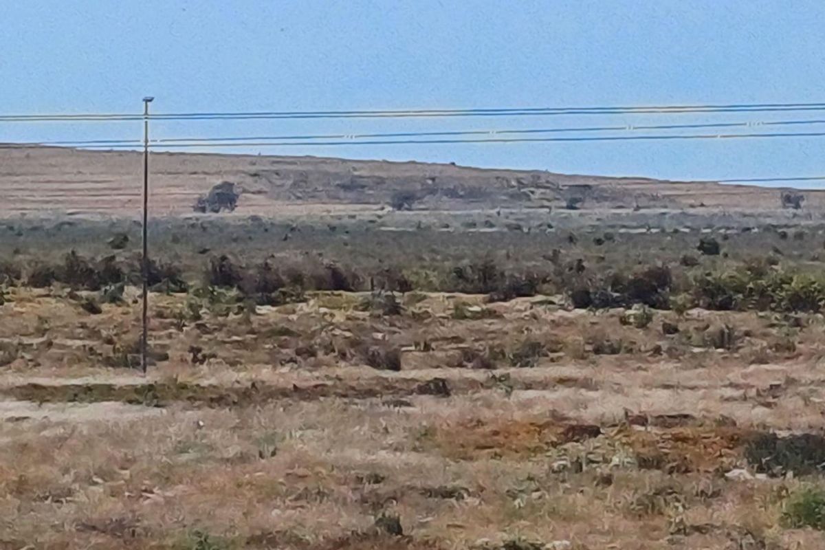 Industrial For Sale In Saldanha - Photo 3