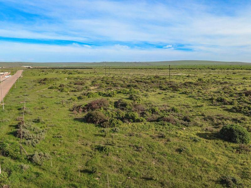 Aerial view of a large, undeveloped industrial land parcel featuring natural vegetation, adjacent road access, and utility infrastructure.