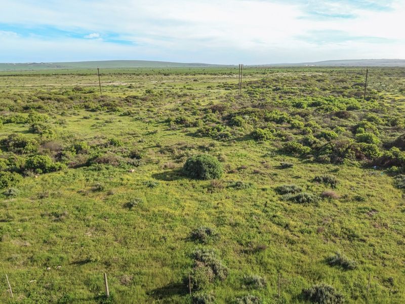 An aerial view of a large, undeveloped industrial land parcel featuring natural vegetation and existing utility infrastructure.