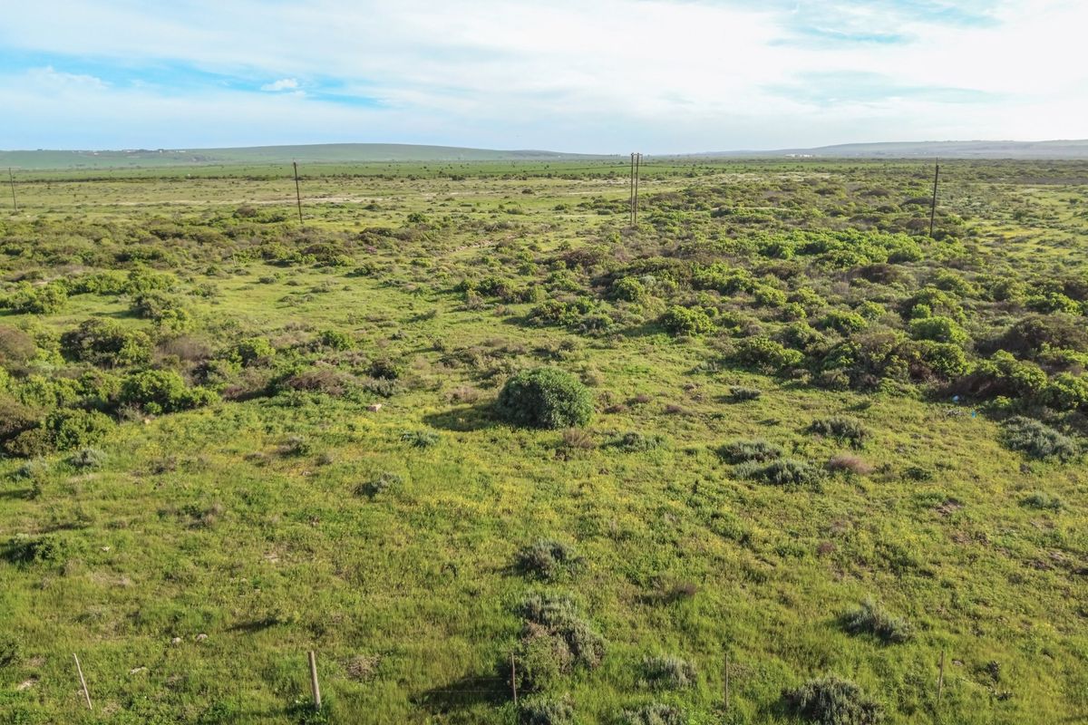 An aerial view of a large, undeveloped industrial land parcel featuring natural vegetation and existing utility infrastructure.