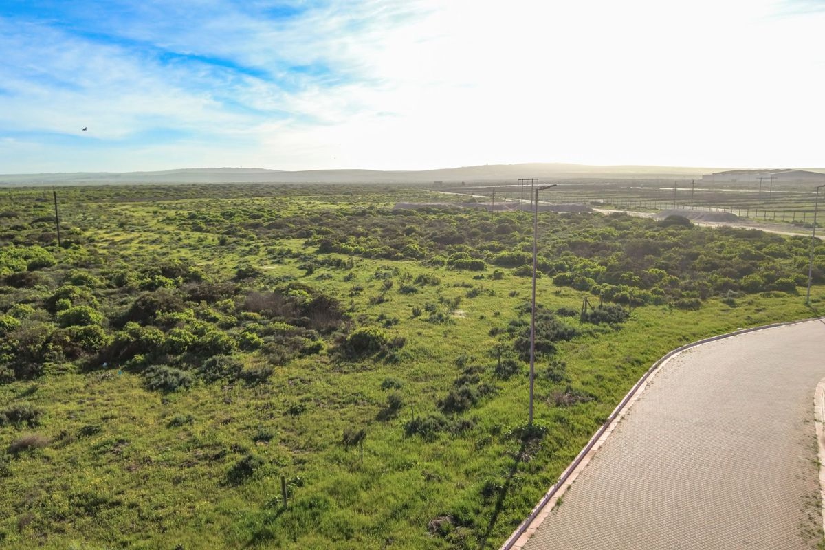 Aerial view of the industrial property site featuring expansive open land, natural vegetation, and adjacent paved road access.