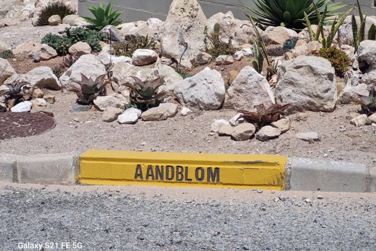 Vacant Land For Sale In Saldanha - Photo 2