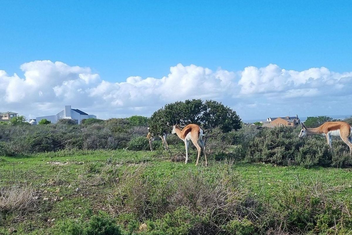 Vacant Land For Sale In Saldanha - Photo 2