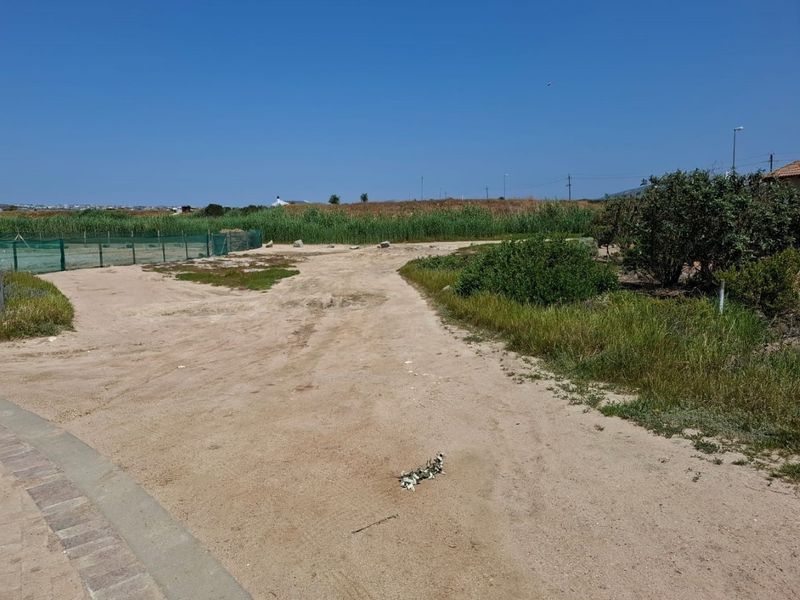 Vacant Land For Sale In Langebaan - Photo 5