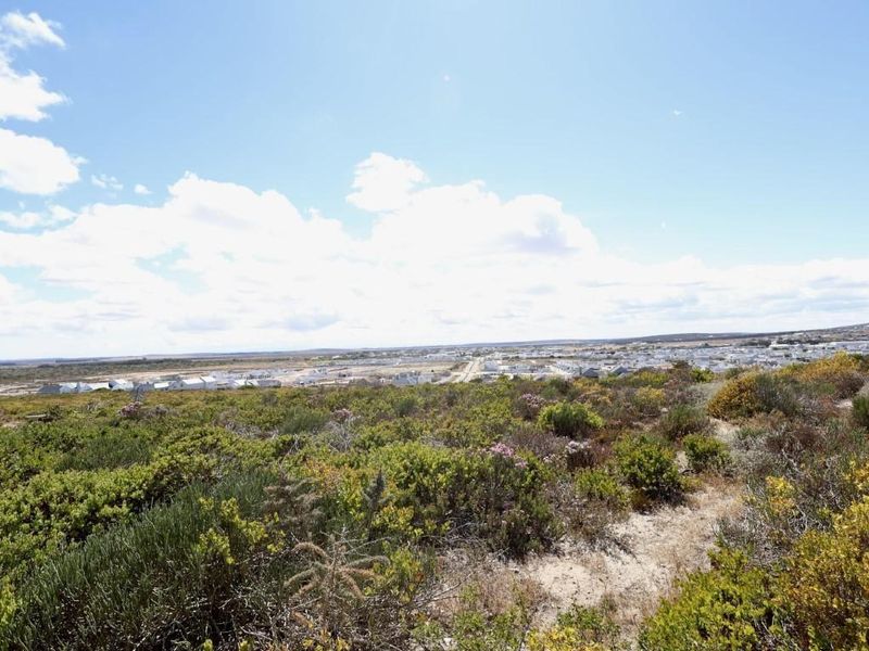 Vacant Land For Sale In Langebaan - Photo 6