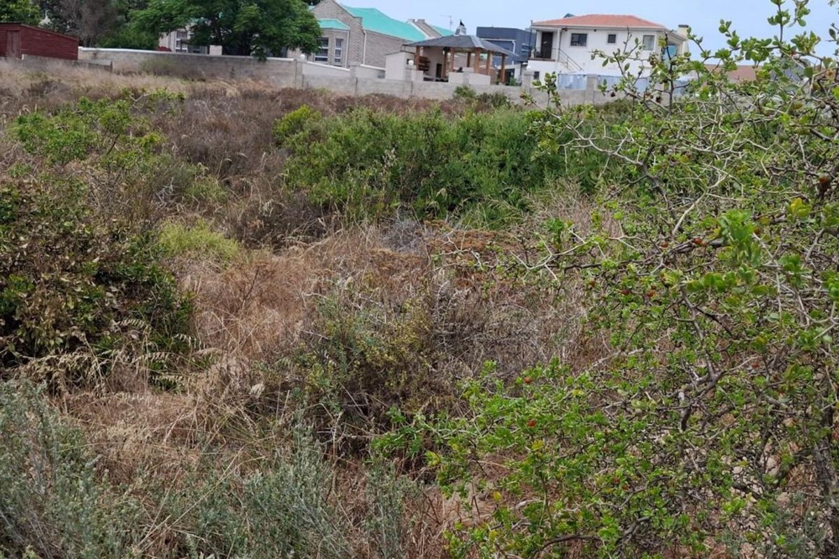 Vacant Land For Sale In Langebaan - Photo 4