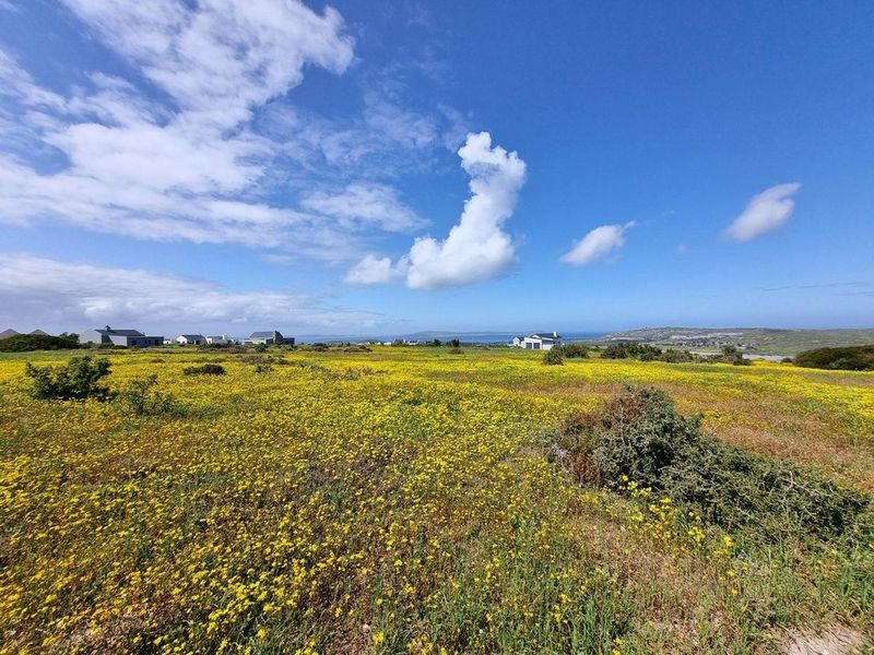 Vacant Land For Sale In Saldanha - Photo 5