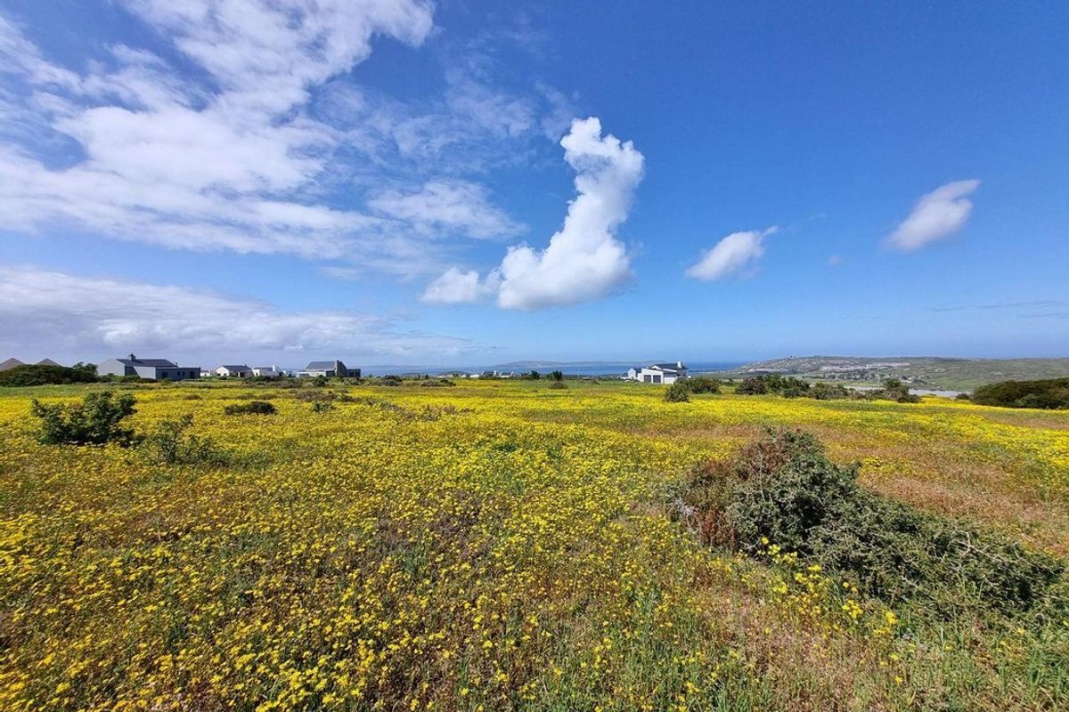 Vacant Land For Sale In Saldanha - Photo 5