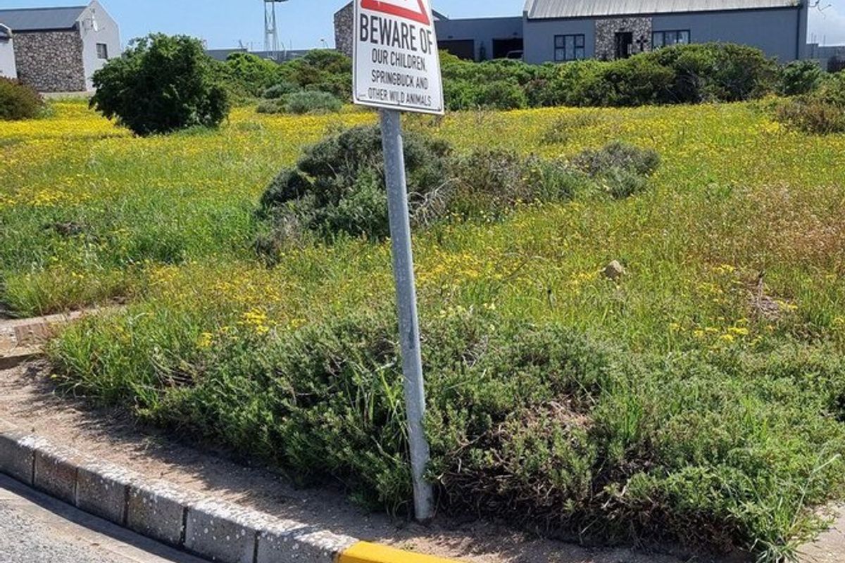 Vacant Land For Sale In Saldanha - Photo 4