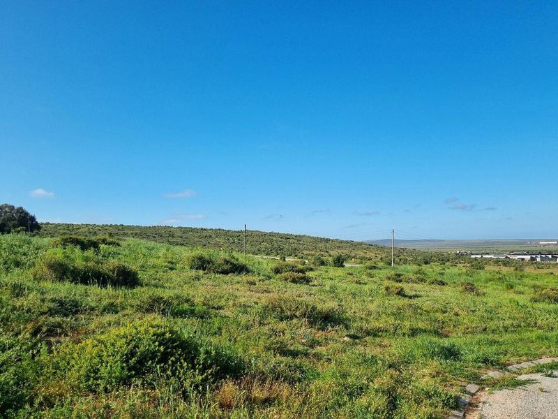 Vacant Land For Sale In Saldanha - Photo 5