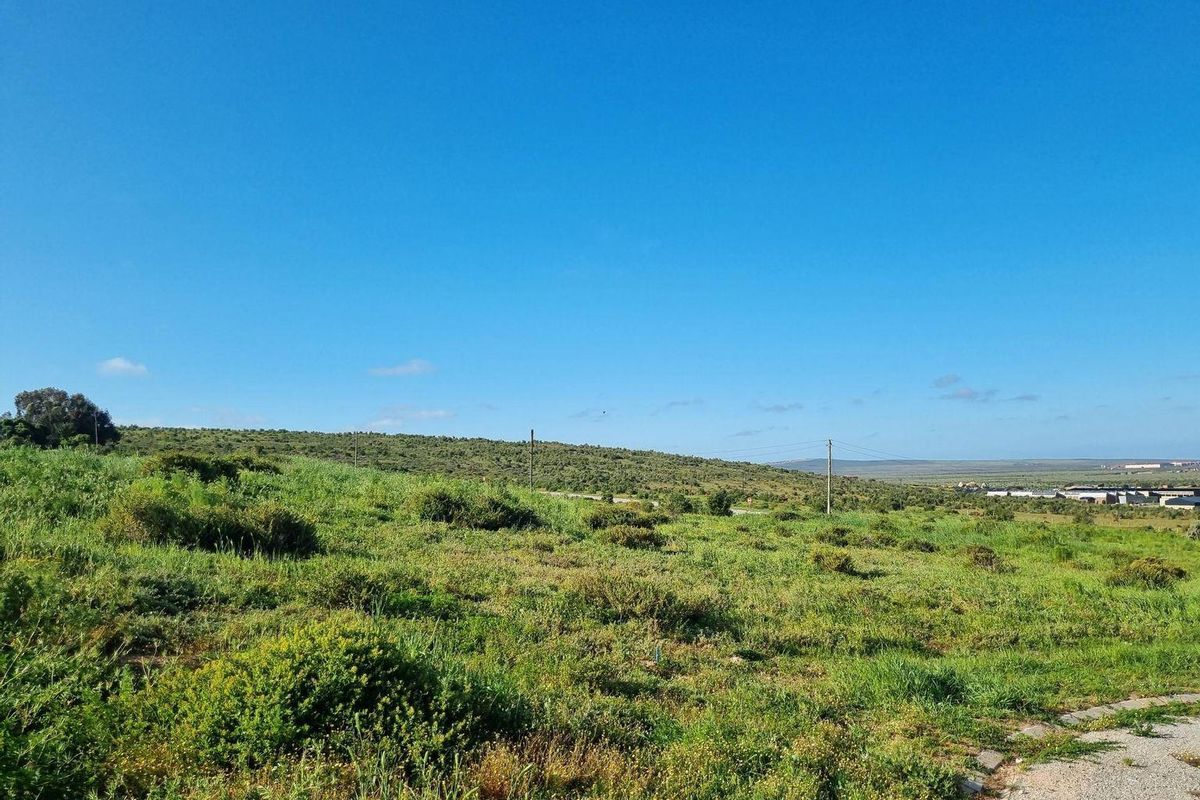 Vacant Land For Sale In Saldanha - Photo 5