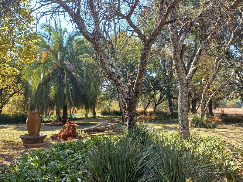 A spacious, well-established garden featuring mature trees, lush greenery, and an ornamental water feature, providing a serene outdoor setting.