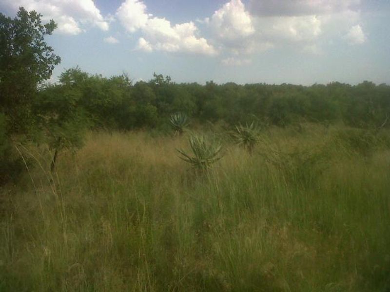 Farm For Sale In Pretoria - Photo 6