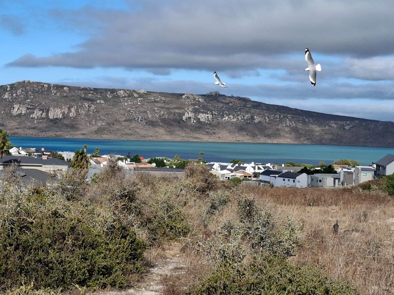 Vacant Land For Sale In Langebaan - Photo 8