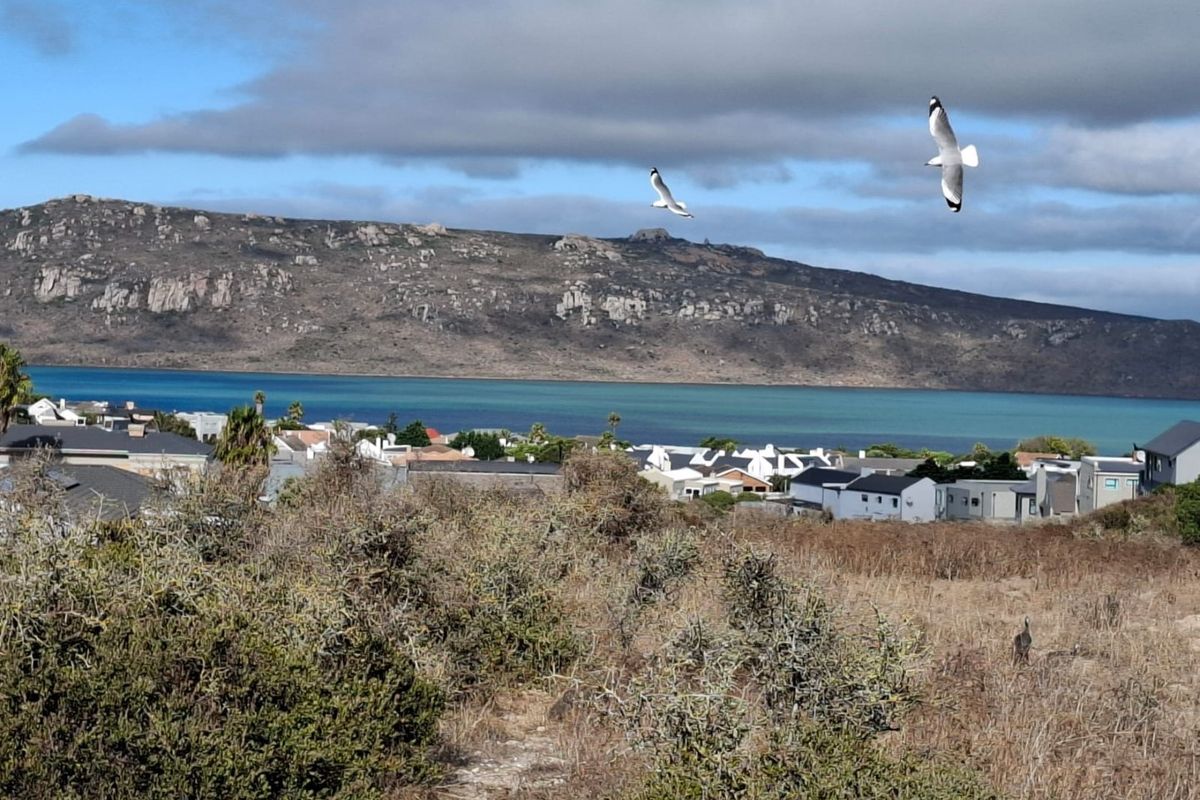 Vacant Land For Sale In Langebaan - Photo 5