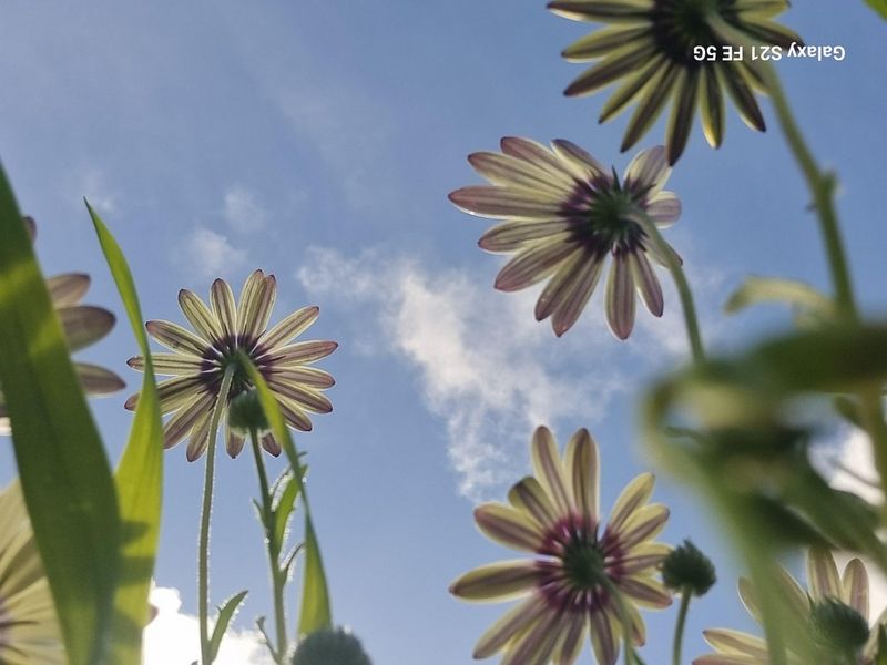 House For Sale In Saldanha - Photo 4