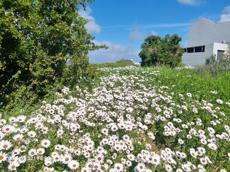A view of a natural garden area with wild flowers and mature trees adjacent to the property structure.
