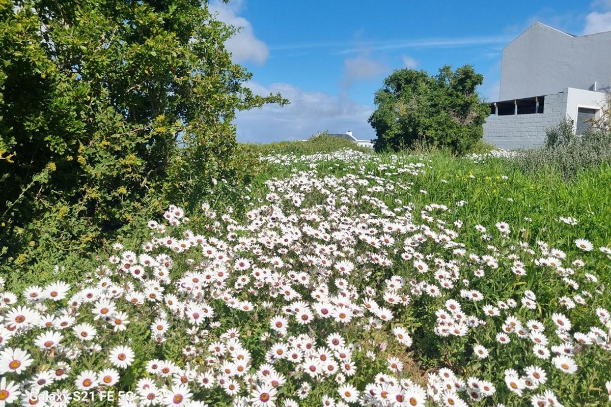 A view of a natural garden area with wild flowers and mature trees adjacent to the property structure.
