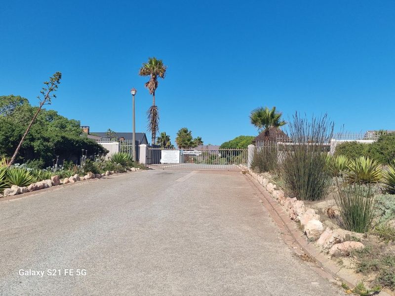Vacant Land For Sale In Saldanha - Photo 8