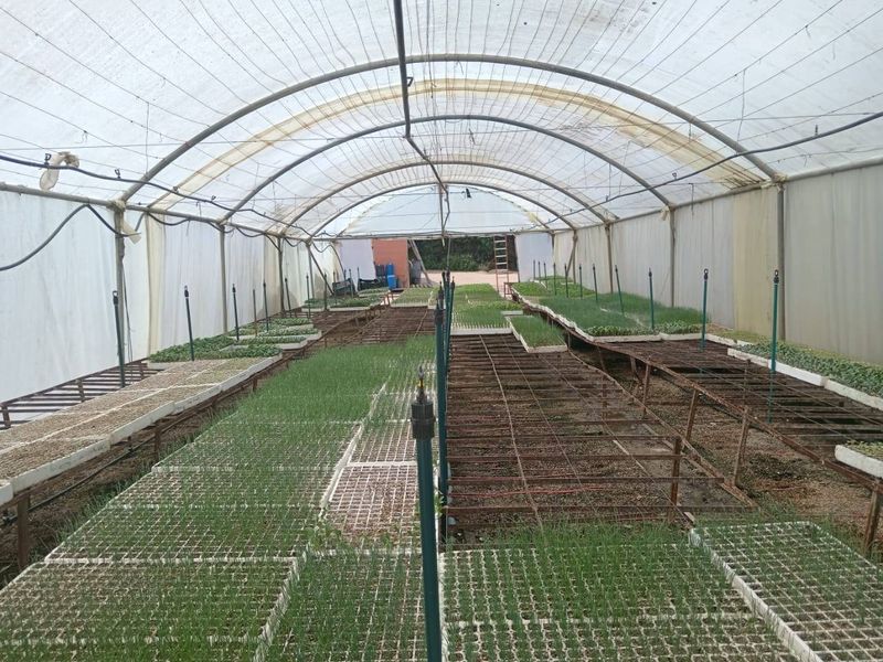 Farm For Sale In Malmesbury - Photo 5