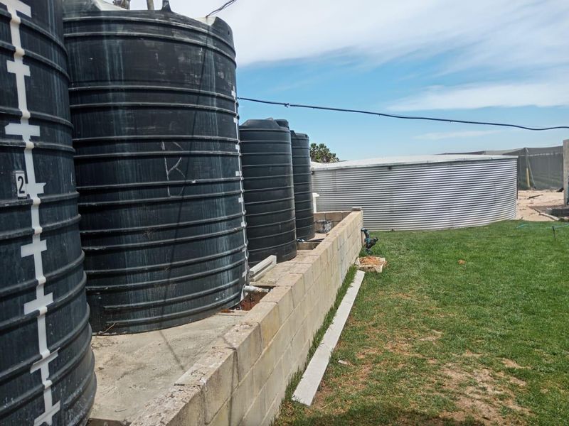 Farm For Sale In Malmesbury - Photo 10