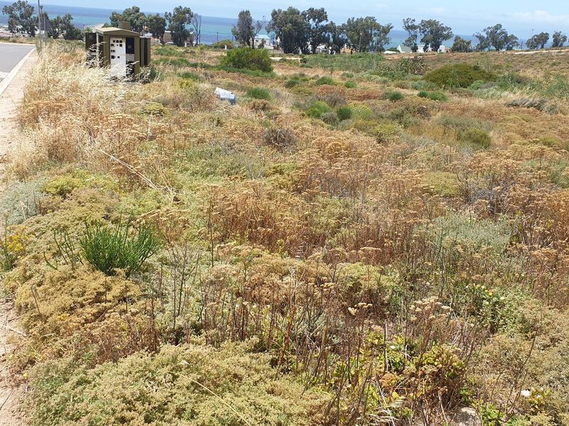 Vacant Land For Sale In St Helena Bay - Photo 6