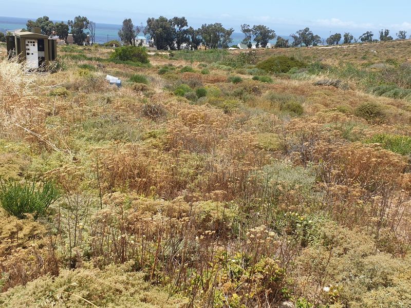 Vacant Land For Sale In St Helena Bay - Photo 5