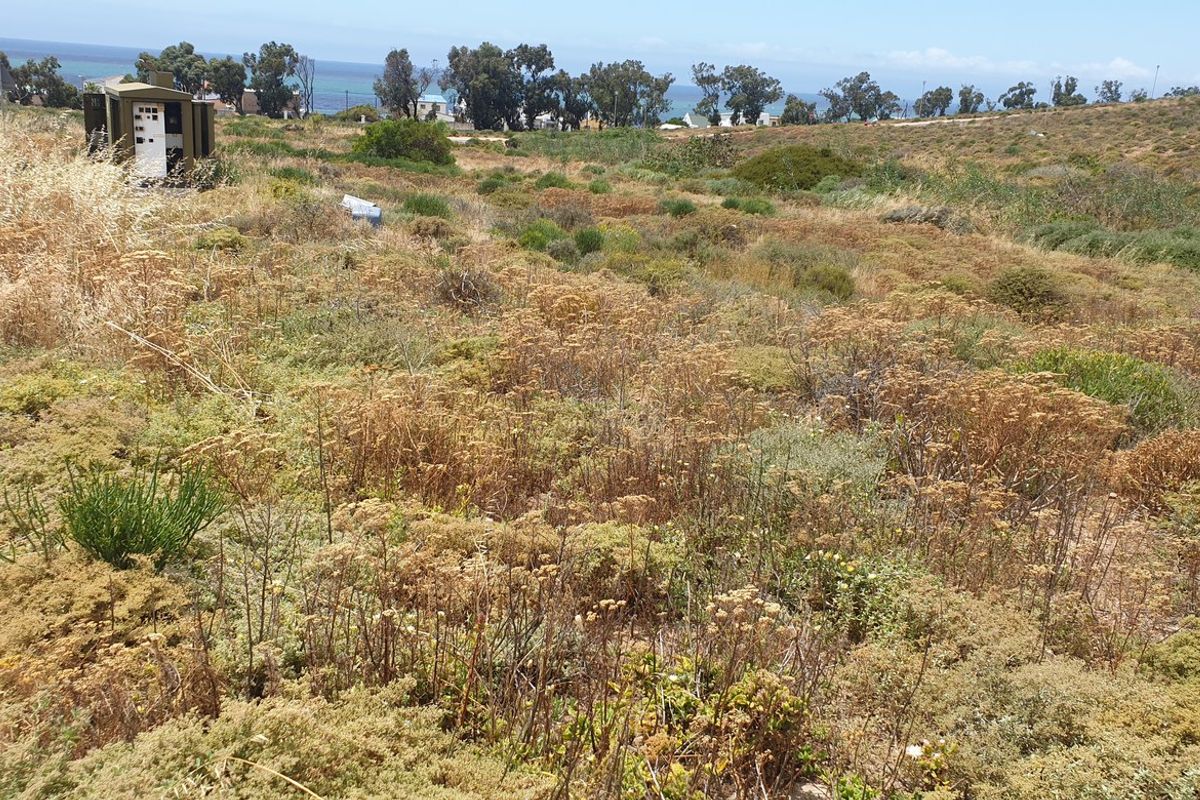 Vacant Land For Sale In St Helena Bay - Photo 5